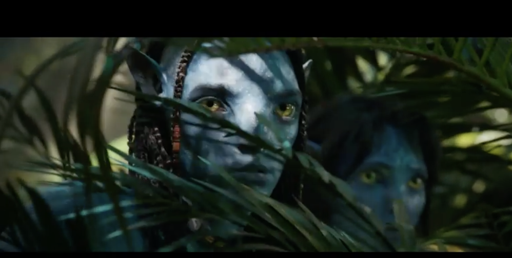 Government gives $140 million worth of subsidies for Avatar sequels so far
