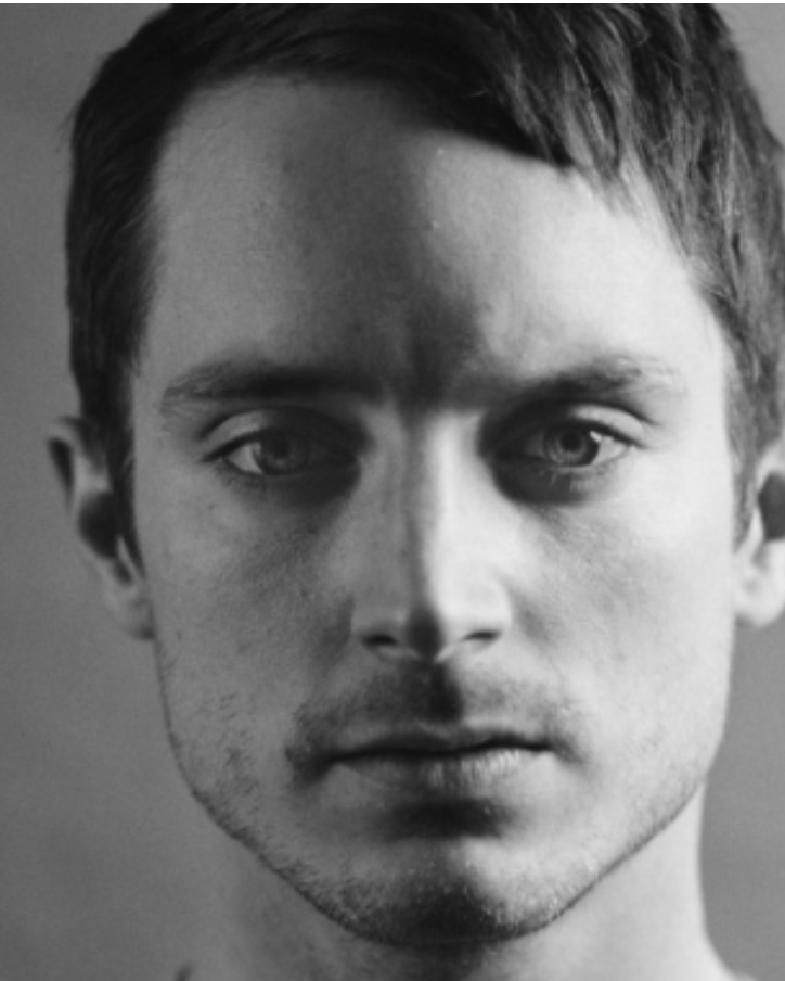 Elijah Wood to Star in ‘Bookworm,’ New Zealand-set Adventure Film Launching at AFM for Mister Smith, CAA (EXCLUSIVE)
